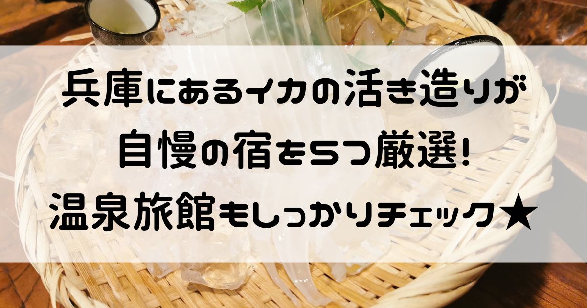 イカの活き造り 宿 兵庫