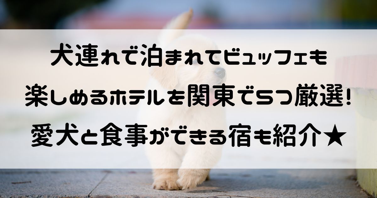 犬連れ ビュッフェ ホテル 関東